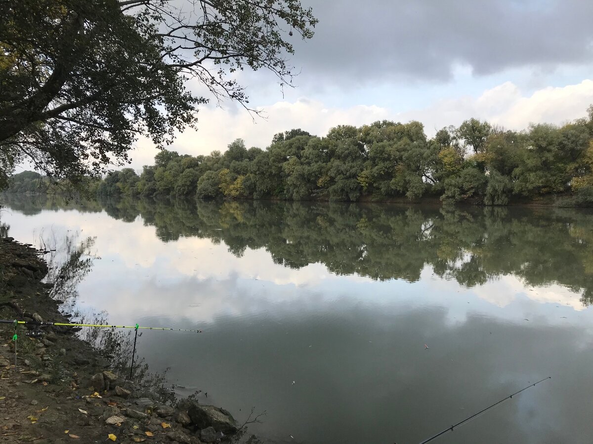 Рыбалка на Кубани. Первый опыт. | Клюёт вчера и завтра 🎣 | Дзен