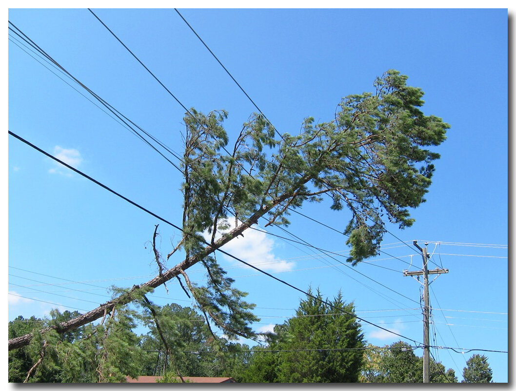 Неподходящий момент. (фото из интернета)