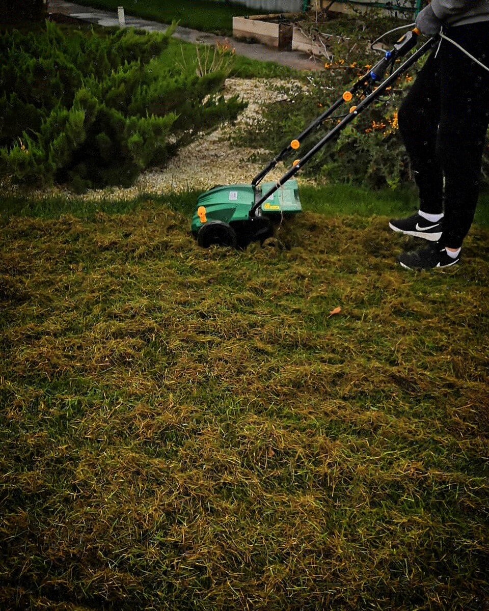 Сухая трава на поверхности. Фото автора