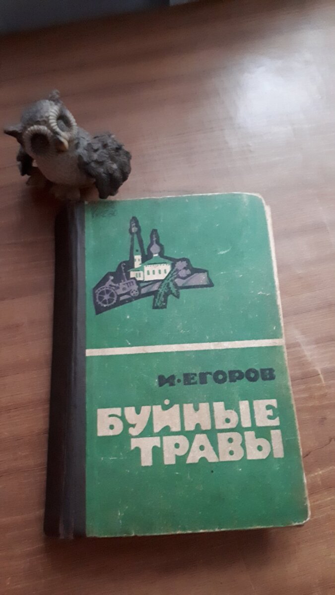 Фотография книги из местной библиотеки. Увы, И. Я. Егорова сложно купить, а тексты невозможно найти в интернете