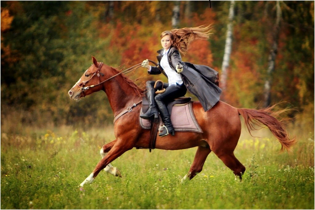 На рыжем коне. Всадница в дамском седле. Наездник на лошади. Всадник верхом на лошади.