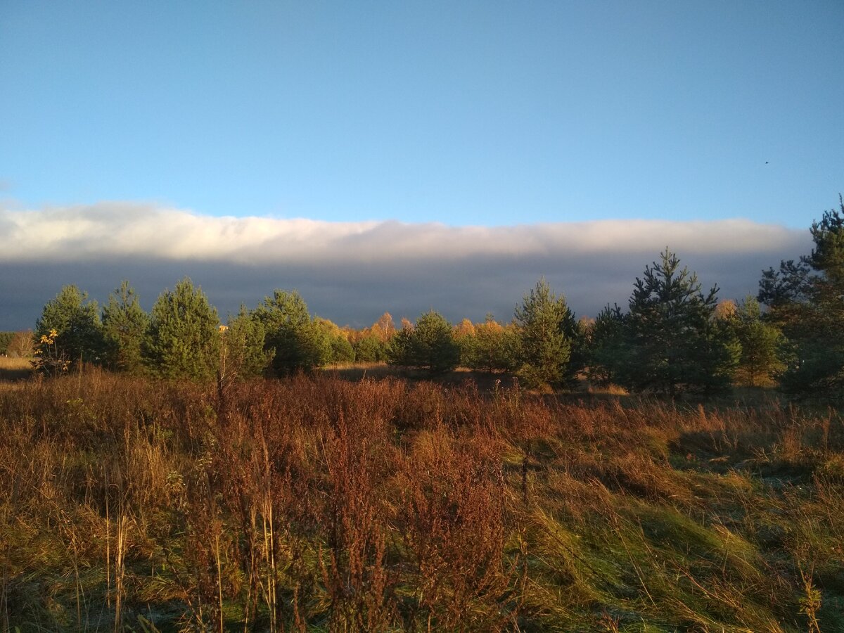 Так резко и внезапно может измениться человек... И отношение к нему. (Фото из личного архива автора)