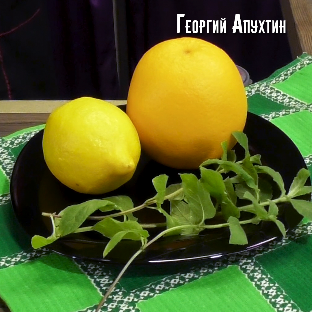 Витаминный ягодный лимонад