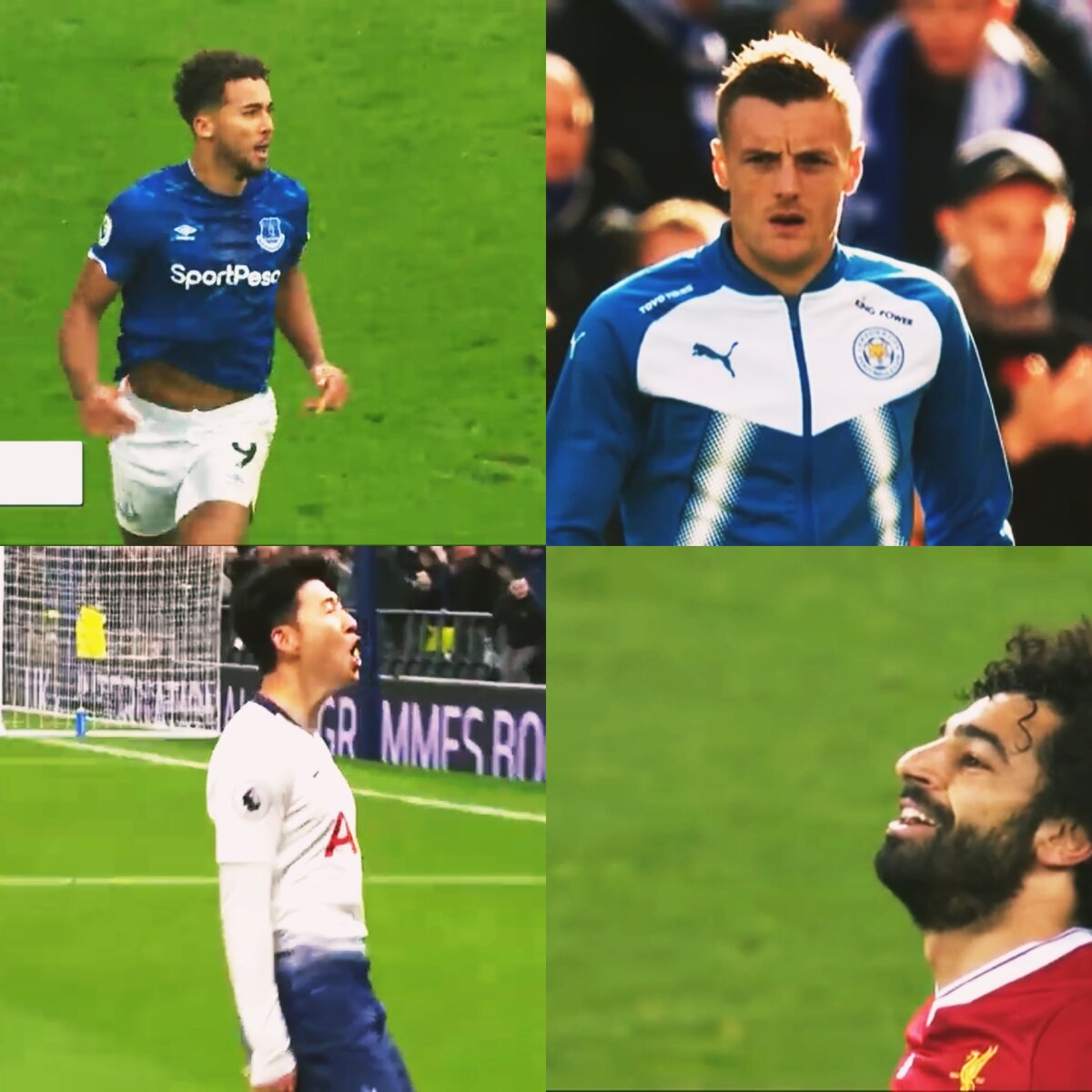 Голеодоры Англии.