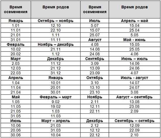 Схема отела коров в числах