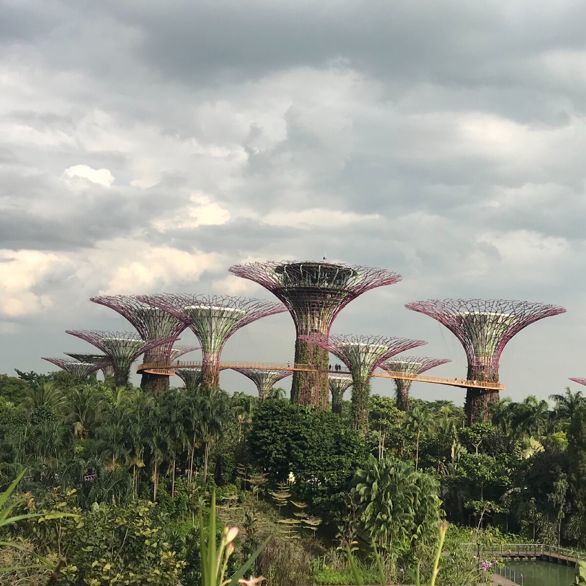 Футуристический сад 