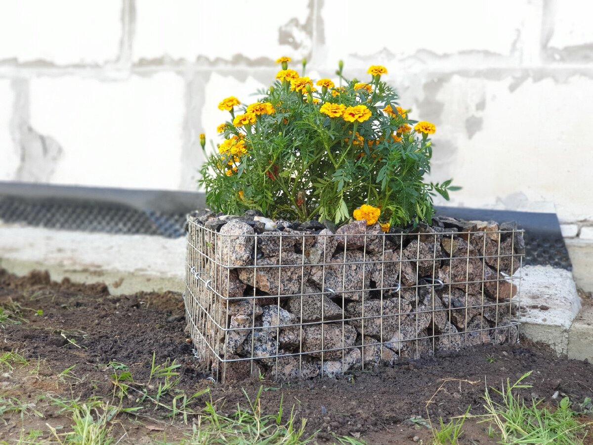 Сварное кашпо