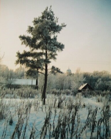 Раньше и деревья были большие, и зимы снежные! Очень не хватает таких сугробов в современном Петербурге.