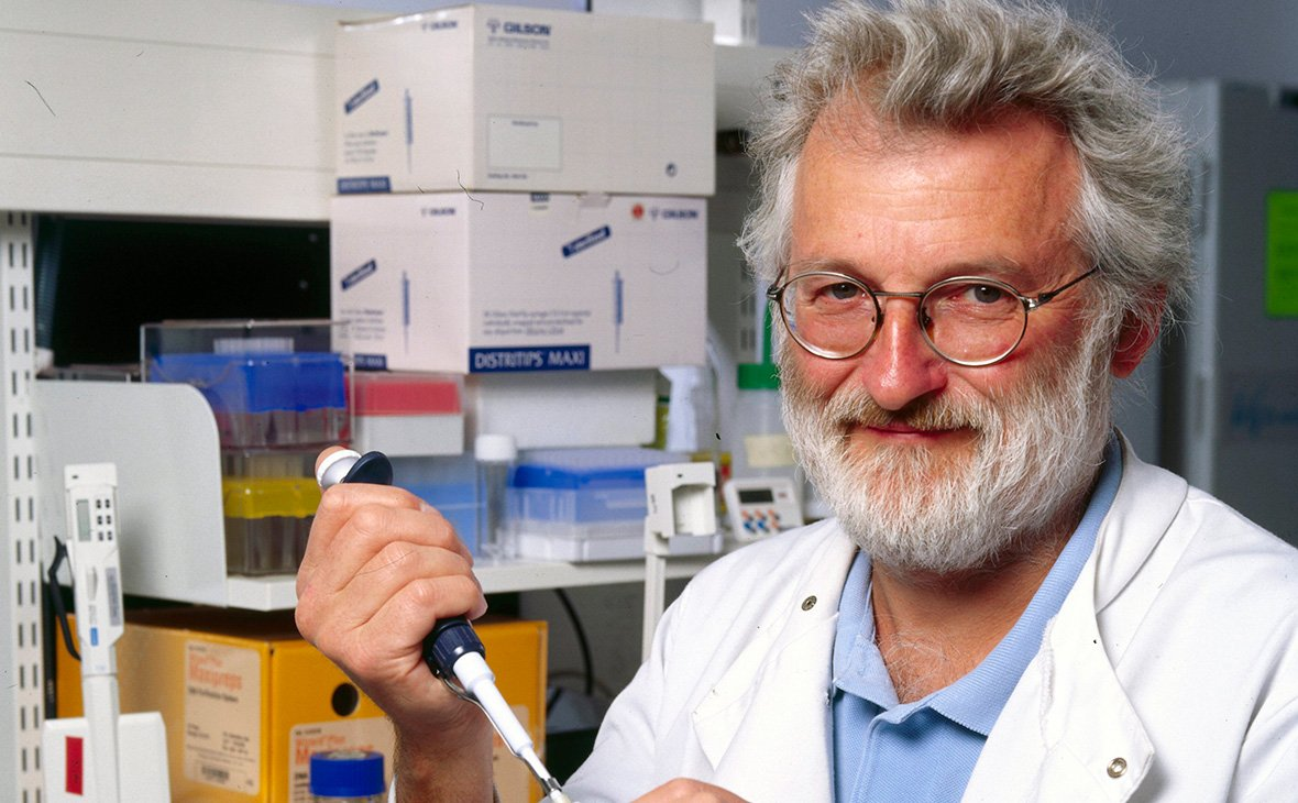 Картинка взята с сервиса Яндекс Картинки 