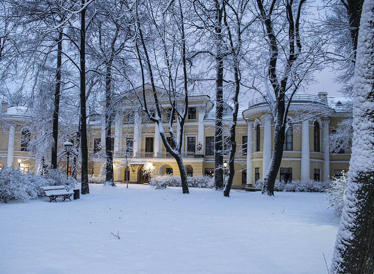 Факультет свободных наук. Панорама факультет свободных искусств и наук. Свободное искусство спбгу. Факультет свободных наук. Liberal arts спбгу.