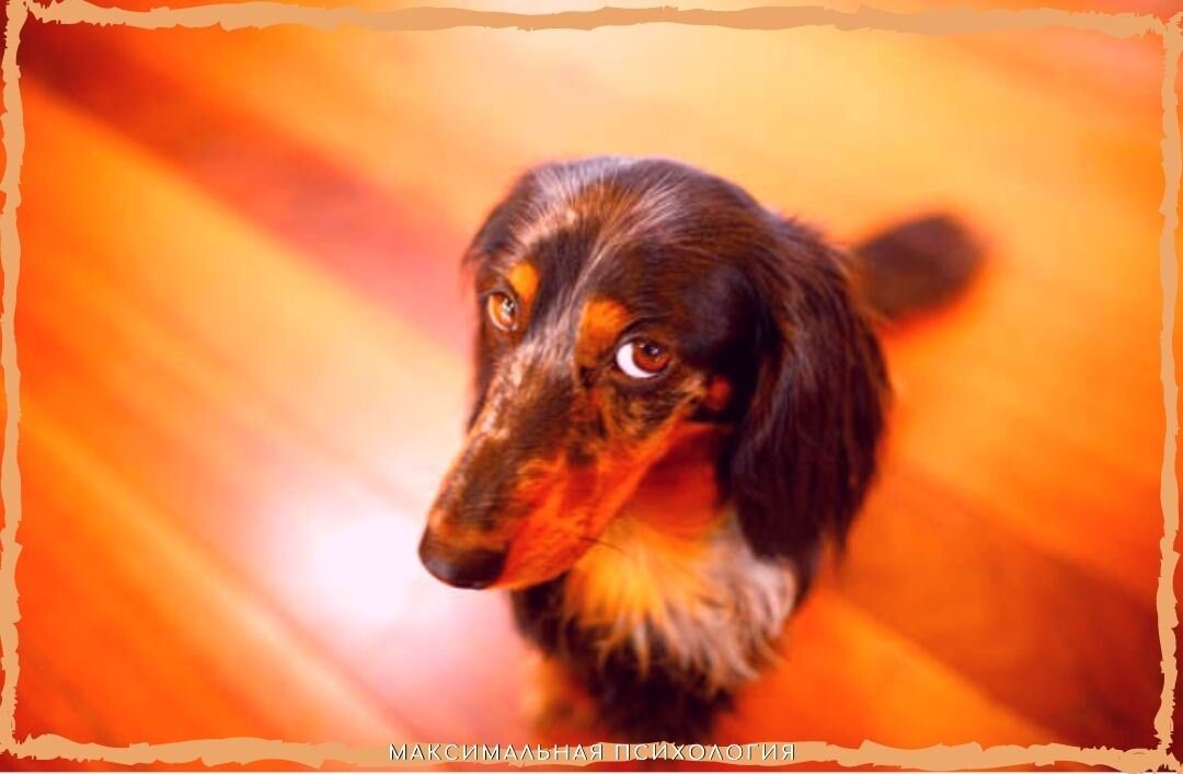 Как побыстрее избавиться от чувства вины?