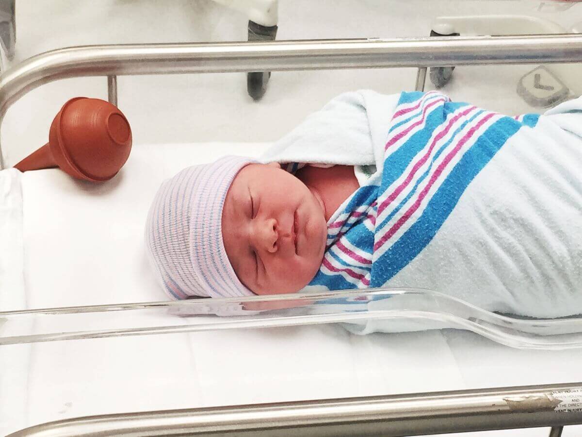 Фото с https://elements.envato.com/