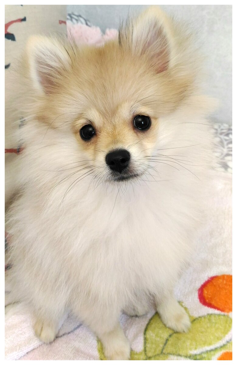 авторское фото Александры Григорьевой