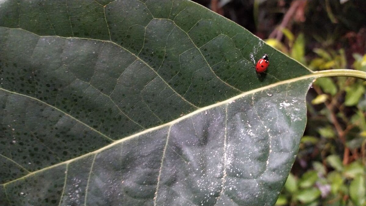 Первые шаги - в новом месте..