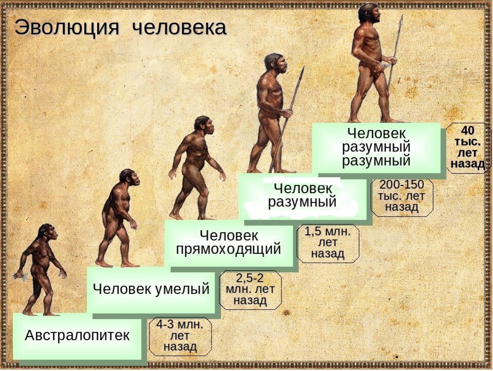 Первобытный человек отражал в рисунках огэ важнейшие