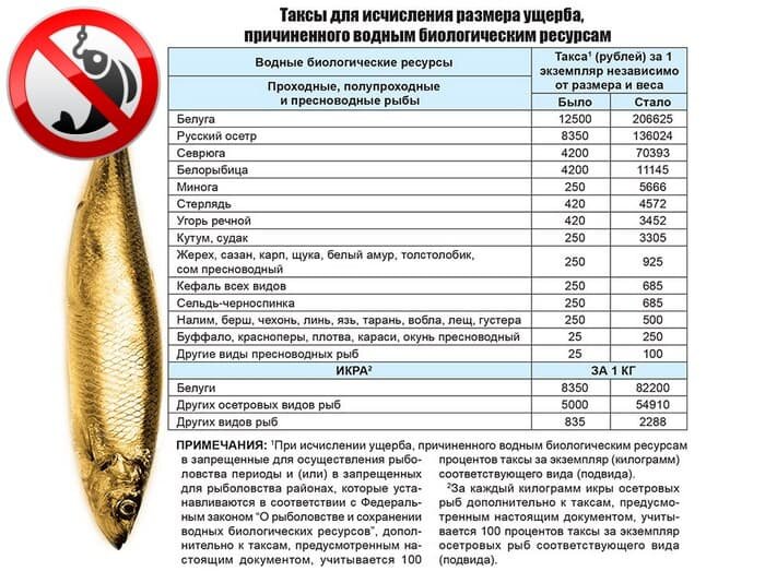 В таблице указаны как изменились таксы за ущерб по видам рыб. Правый столбец это актуальные данные с 2018 г. Иллюстрация из открытых источников "Яндекс Картинки"