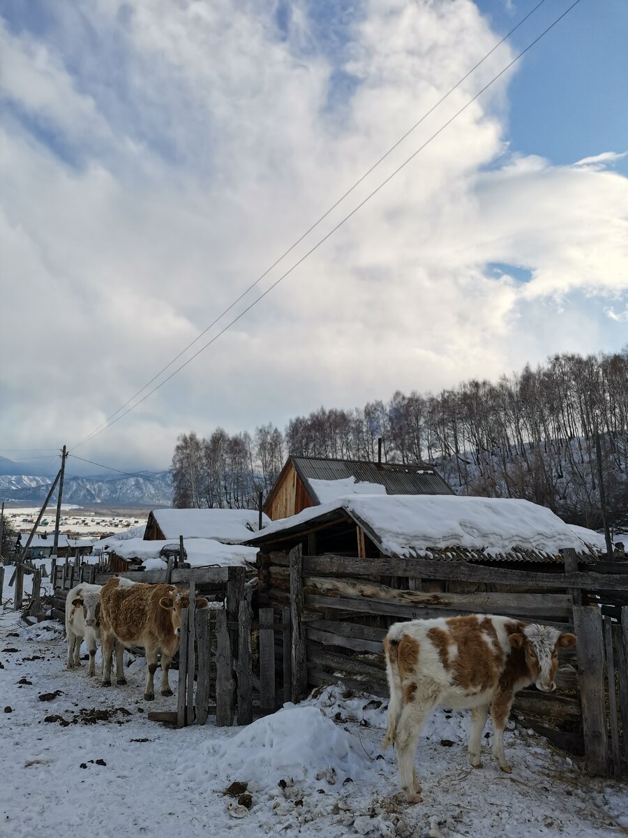 В поселке Баштала