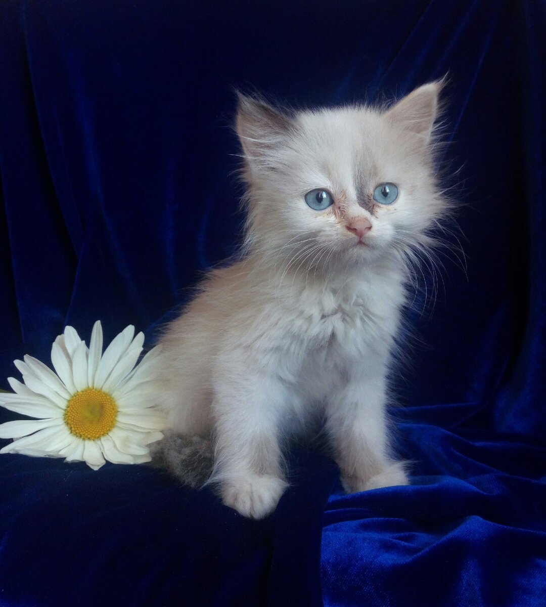 Гретта - боевая девочка