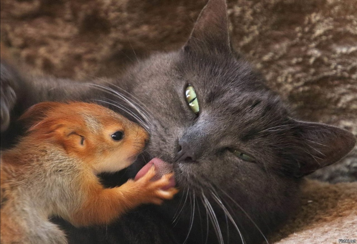 Чужих детей не бывает. Фото из свободных источников Яндекс.