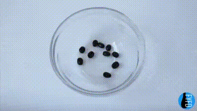 Попробуйте сами и поделитесь опытом в комментариях.