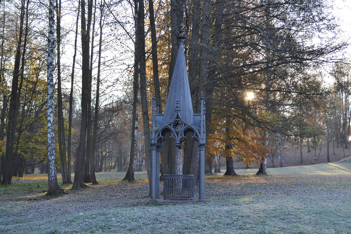 Фото: Наталья Левина