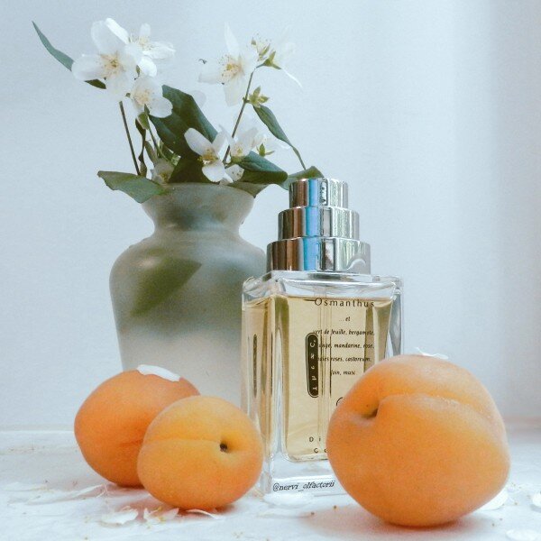 Penhaligon's bluebell. Sultan парфюм al haramain. Деликатные ароматы. Флора гуччи 15мл сэт. Деликатные ароматы.