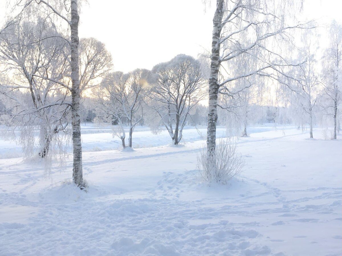 Вид из окна нашей кухни. Зимний рассвет, 12 часов дня.