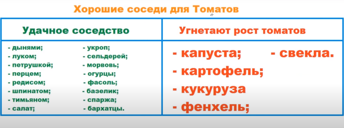 Уральский огород - без особых хлопот!: СОВМЕСТИМОСТЬ ОВОЩНЫХ КУЛЬТУР - СМЕШАННЫЕ ПОСАДКИ!