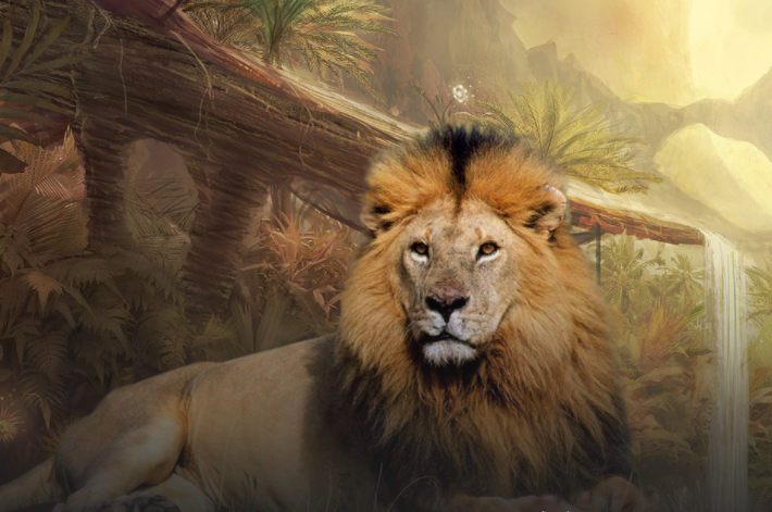 скрин с сайта