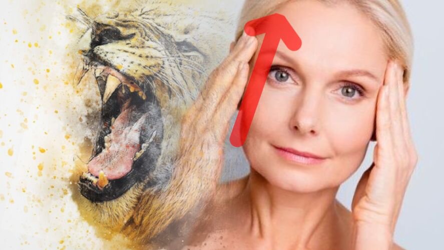 Подтяжка лица львиным рыком // коллаж pixabay.com, makeup.ru