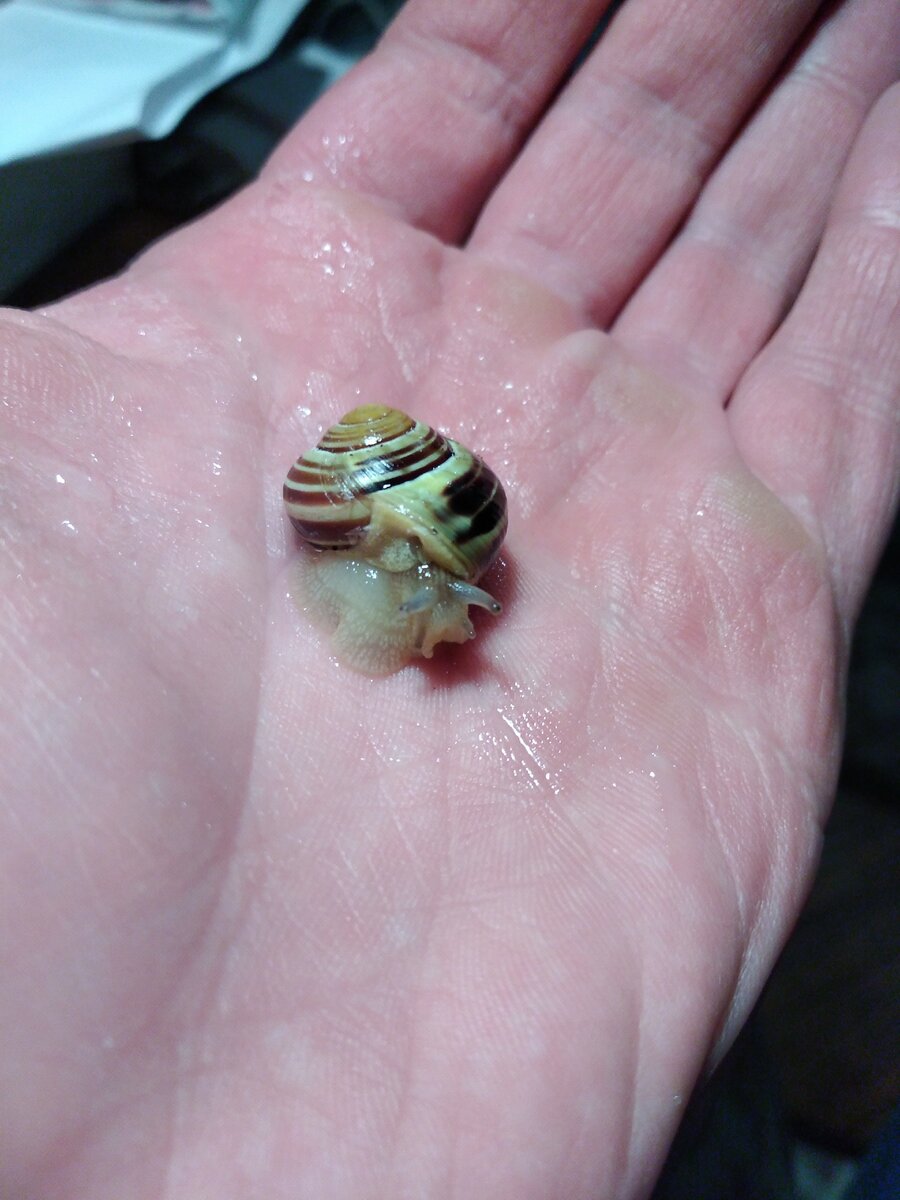 Первое знакомство