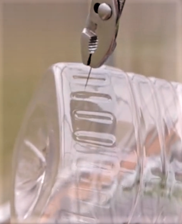 За фото и способ автополива благодарим ТикТок-аккаунт @agronom365