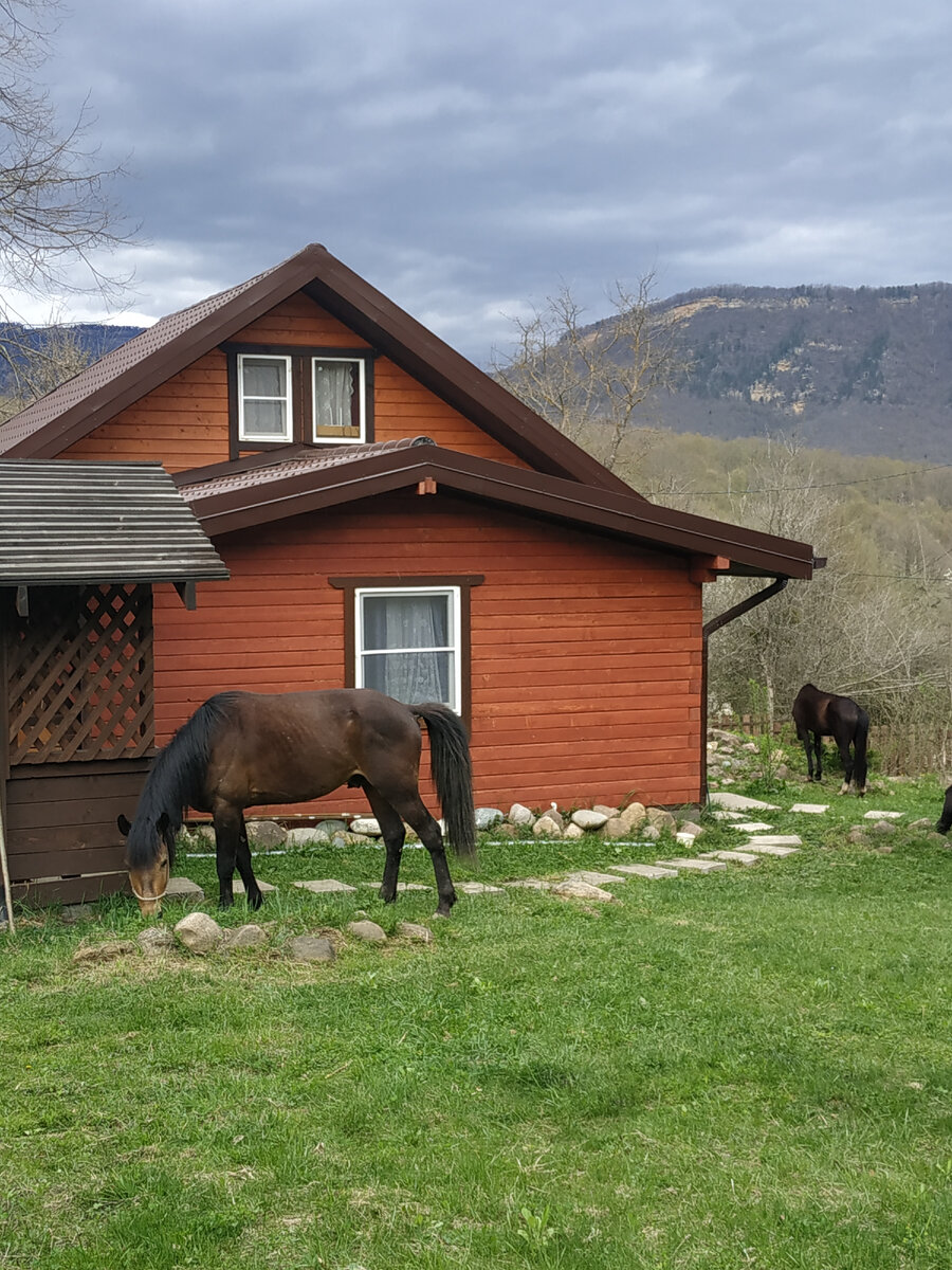 Дом в горах