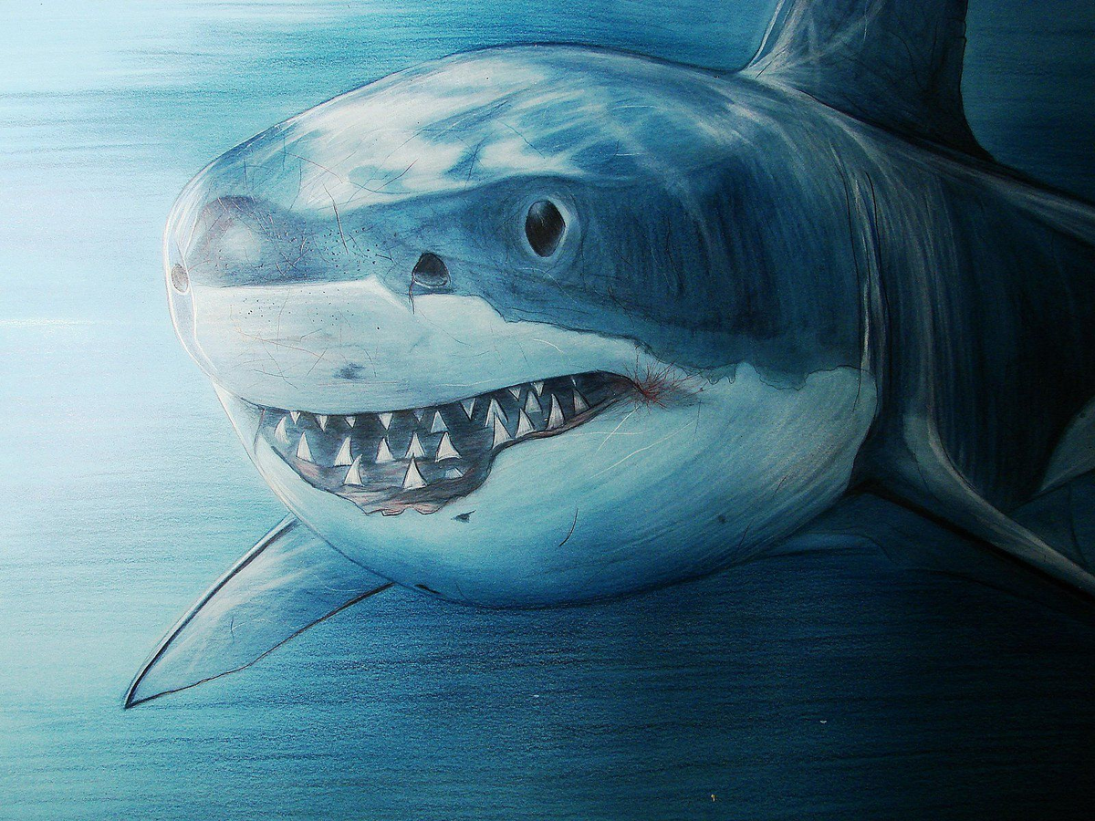 Иллюстрация взята с "Yandex.ru"