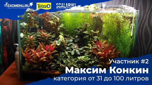 Джунгли Борнео 80 л. Участник №2 в категории от 31 до 100 литра. #Scalariki​ Aquascaping Contest 2021