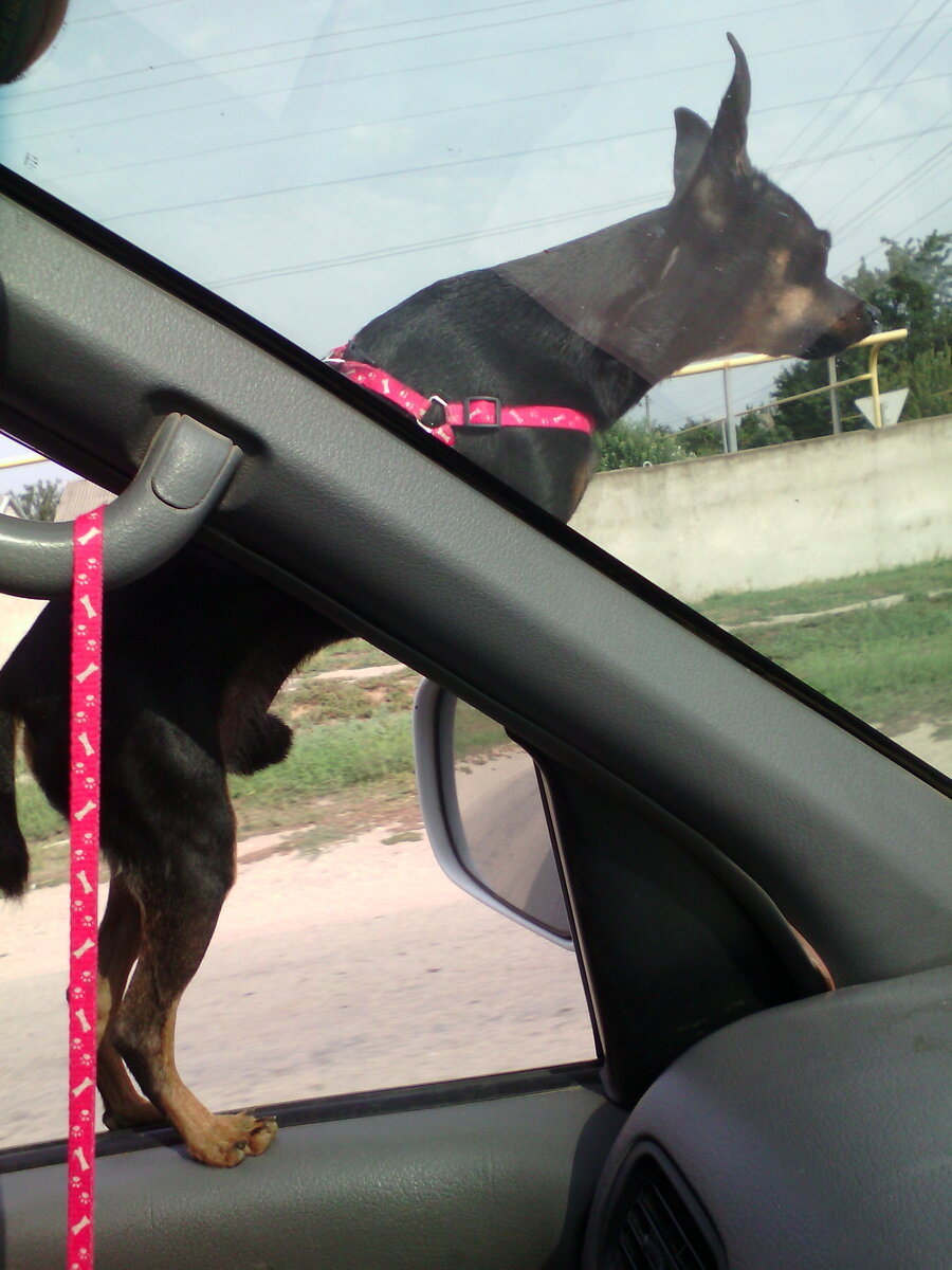 Этот способ обзора изобрёл он сам.