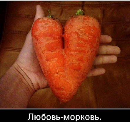 картинка из инета