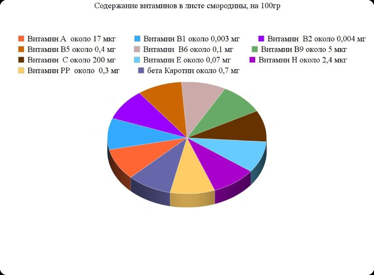 Содержание витаминов в листьях смородины. Источник информации для диаграммы: Бурмистров А. Д. Ягодные культуры. "Агропромиздат", Ленинградское отделение, 1985 Сушанский А.Г., Лифляндский В.Г. Энциклопедия здорового питания. Издательский дом "Нева"; М.: ОЛМА-ПРЕСС". – 1999
Энциклопедия домашнего хозяйства, Москва 1966г
