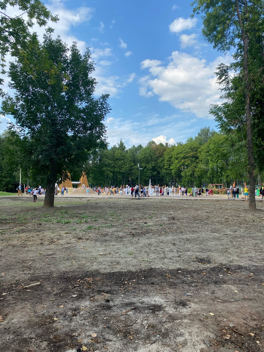 Очень странная ситуация с газоном. Тут остается надеяться, что это всего лишь недоделка, которую скоро исправят 