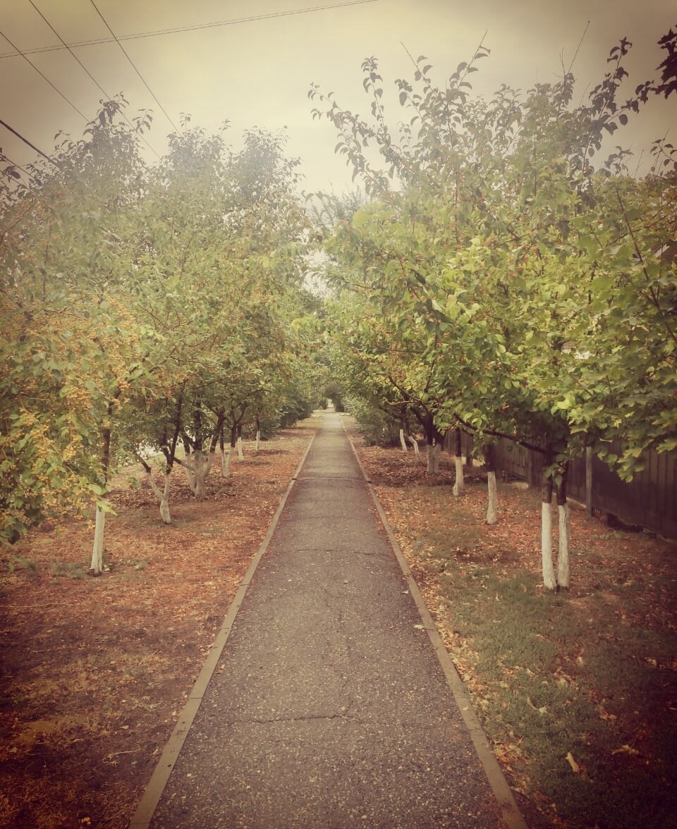 Собственный архив 