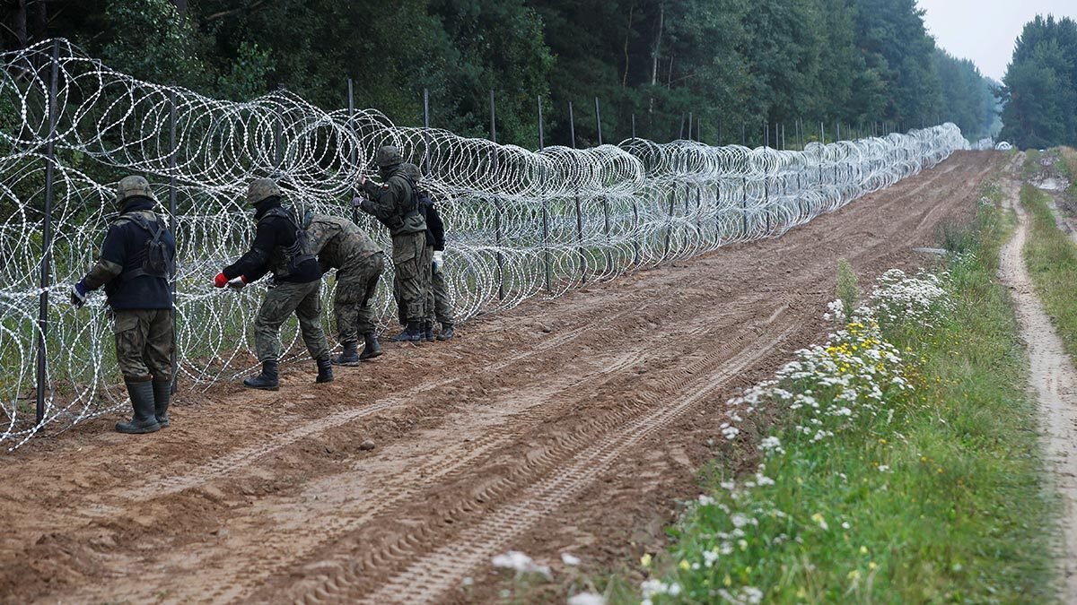 Забор на границе. Забор из колючей проволоки. Забор на границе с Польшей. Стена на границе с Белоруссией.