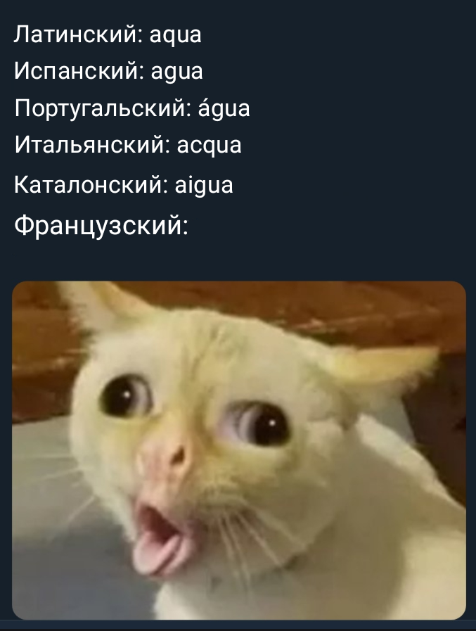 Популярный мем 'Слово вода на романских языках"