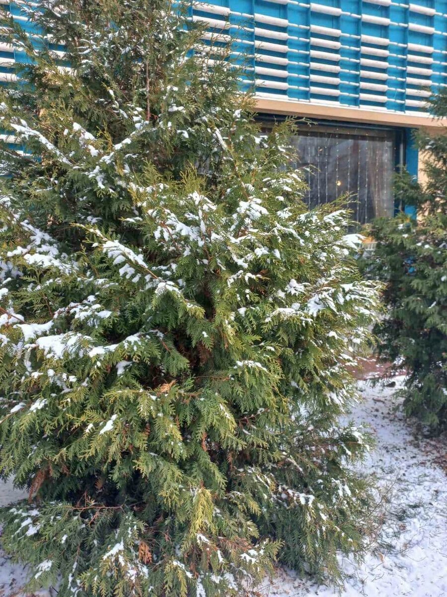 Фото автора.