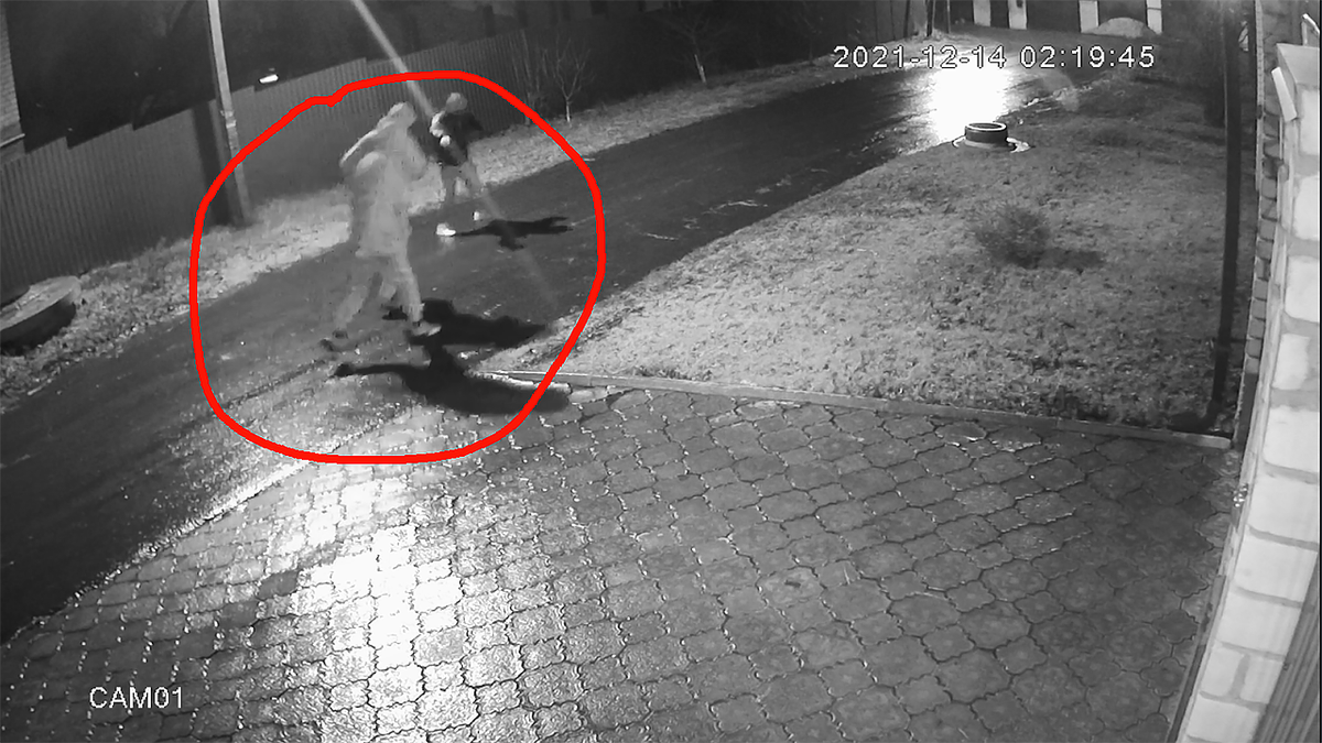 Хулиганы перед домом