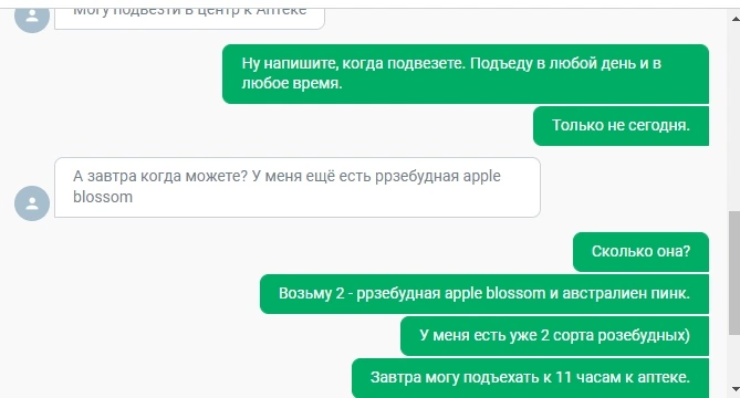 Скриншот переписки. Фото автора 