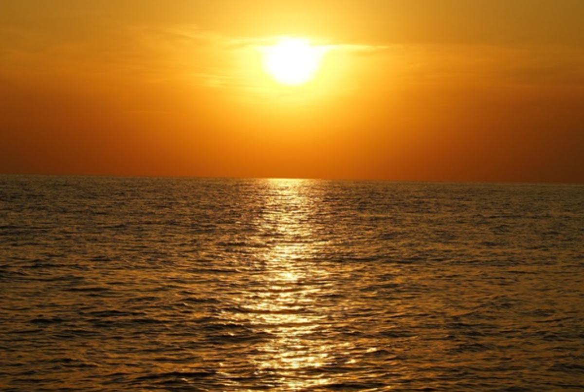 Источник: Яндекс картинки.