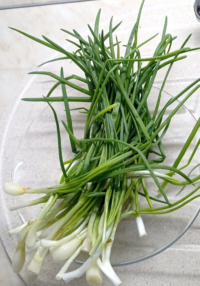 Зеленый лук