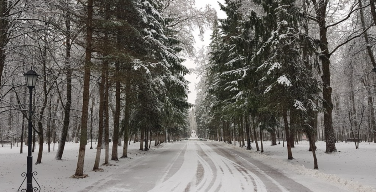 Парк Циолковского. Здесь же находится могила ученого. 