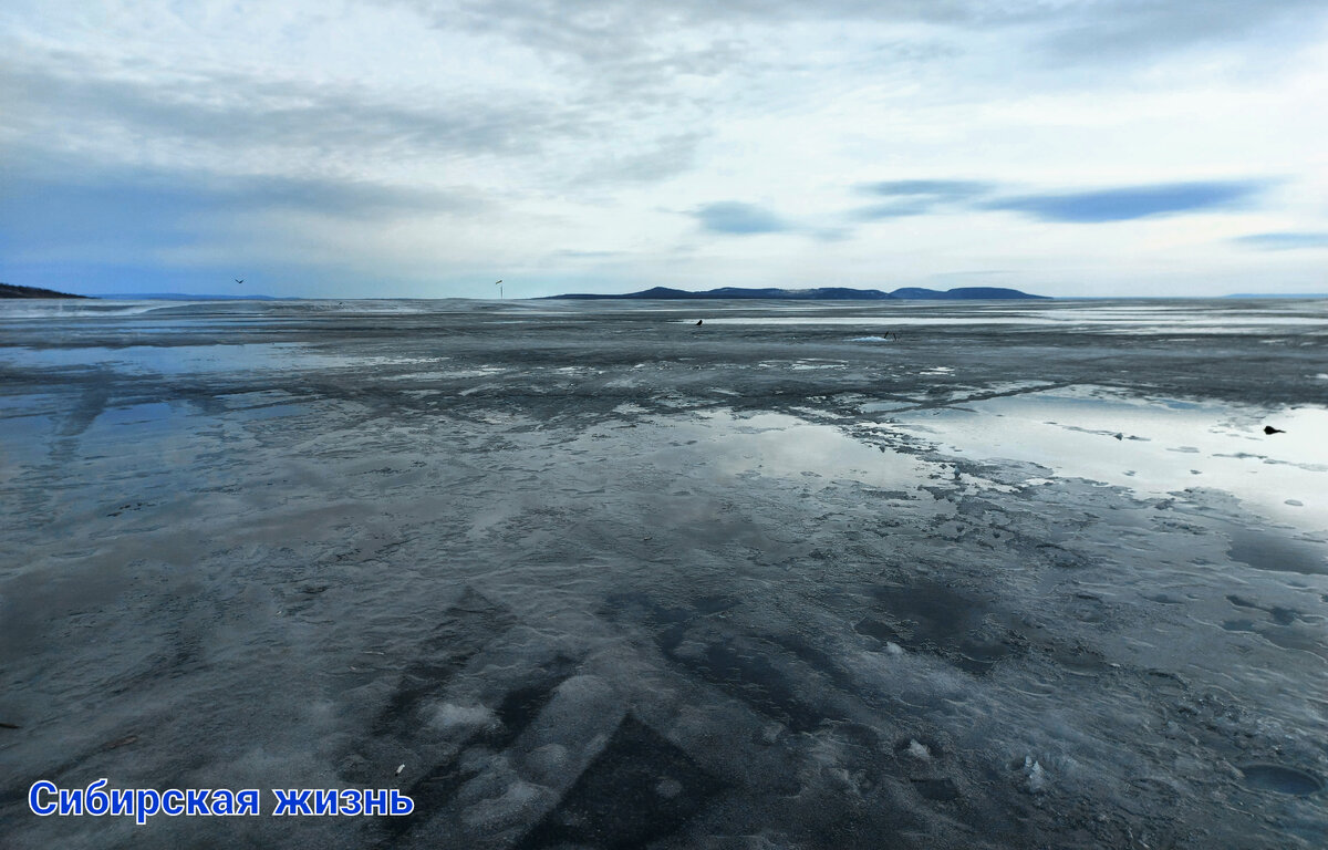Утро на водоёме 