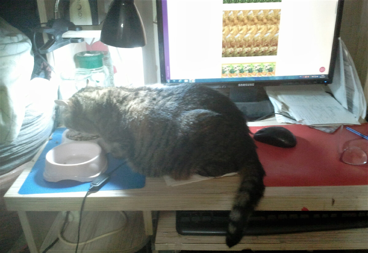 Фото автора